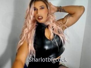 Sharlotbigcock