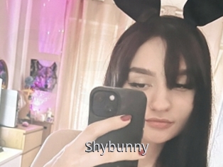Shybunny