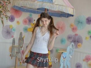 Shytulip