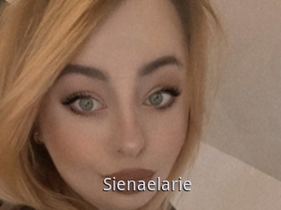 Sienaelarie