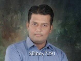 Siliboy7291