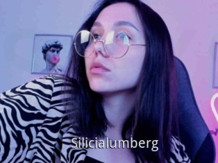 Silicialumberg