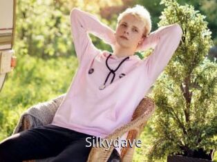 Silkydave