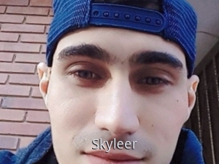 Skyleer