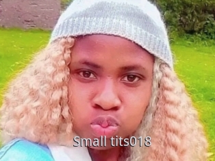 Small_tits018