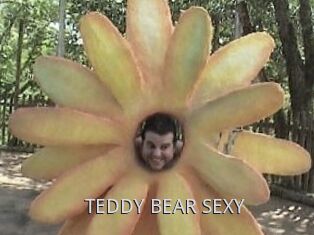 TEDDY_BEAR_SEXY