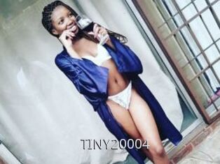TINY20004