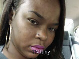 T_N_Ttiny