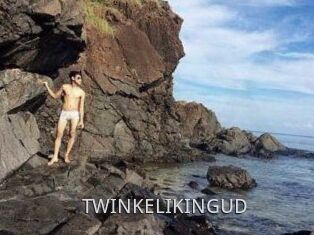 TWINKELIKINGUD