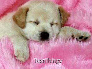 TestThingy