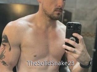 TheSolidSnake23
