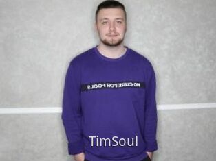 TimSoul