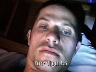 TonyTiger85