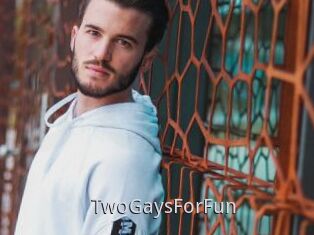 TwoGaysForFun