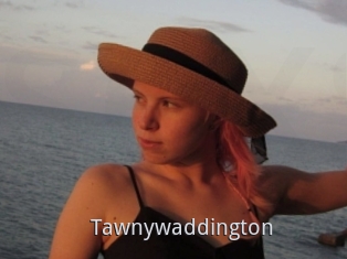 Tawnywaddington