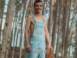 Teddhill