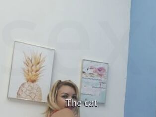 The_cat
