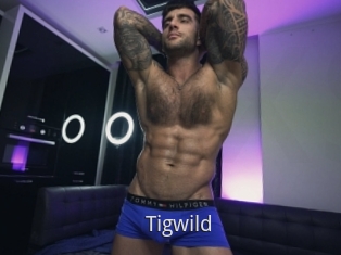 Tigwild