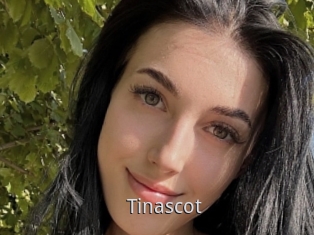 Tinascot