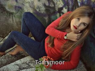 Torrymoor