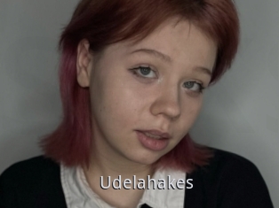 Udelahakes
