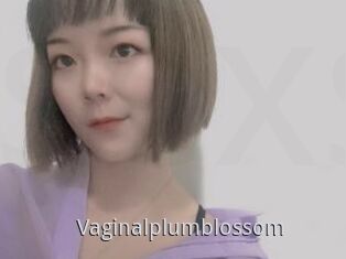 Vaginalplumblossom