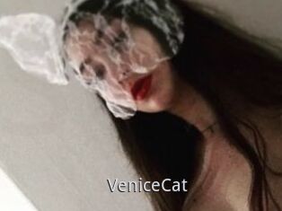 VeniceCat