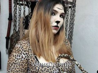 VenusDomme