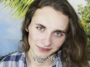 ViggoStein