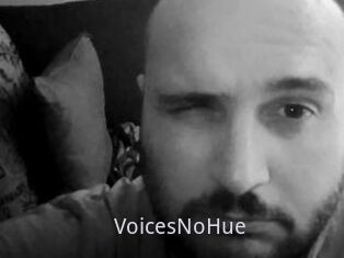 VoicesNoHue