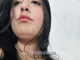Vaneholmes