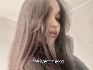 Velvettneko