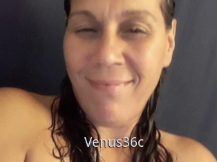 Venus36c