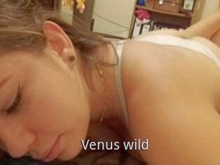 Venus_wild