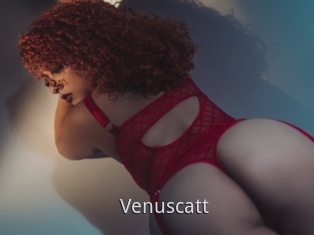 Venuscatt