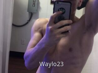 Waylo23