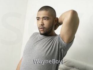 WayneBoyI