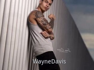 WayneDavis