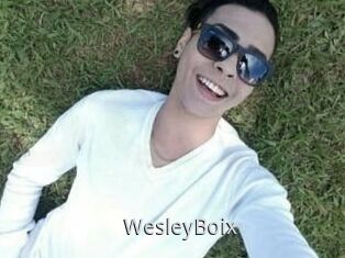 Wesley_Boix