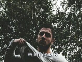 Wildthings18