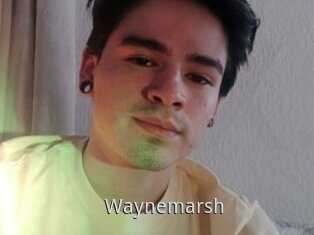 Waynemarsh