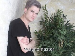 Waynemaster