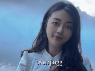 Wenjingg