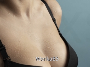 Werka85