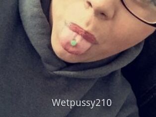 Wetpussy210