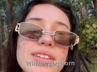 Whitneygleghorn