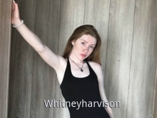 Whitneyharvison