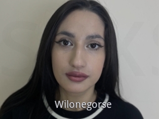 Wilonegorse