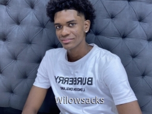 Wilowsacks