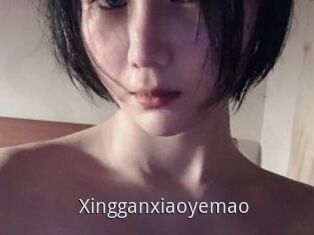 Xingganxiaoyemao
